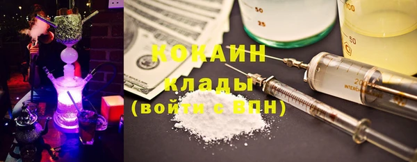 сатива Алзамай