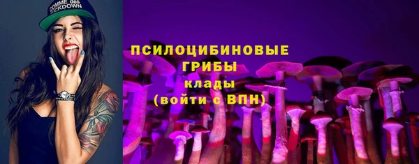 сатива Алзамай