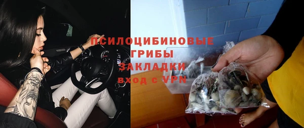 дживик Алексин