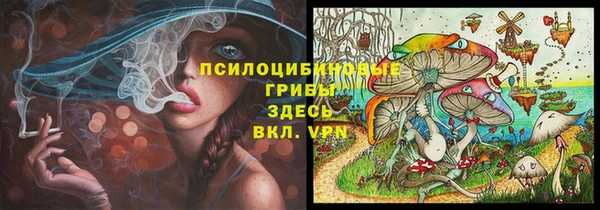 гидропоника Алексеевка