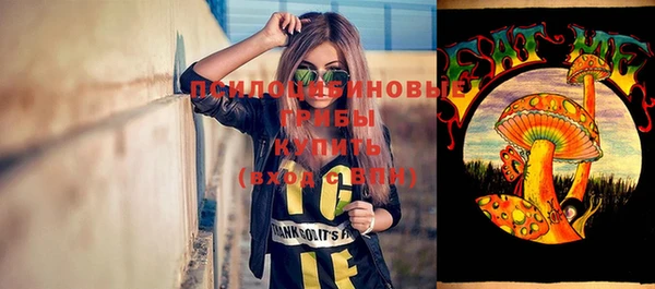 дживик Алексин